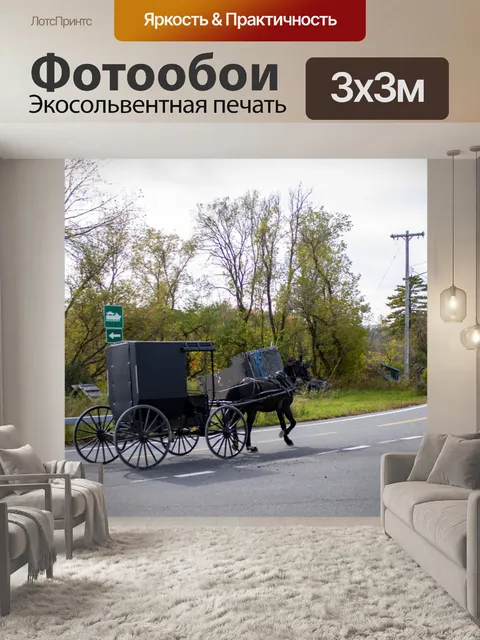 Фотообои Amish Carriage