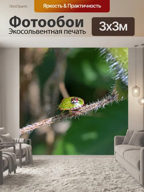Фотообои зеленый и розовый щит жук на помидоре