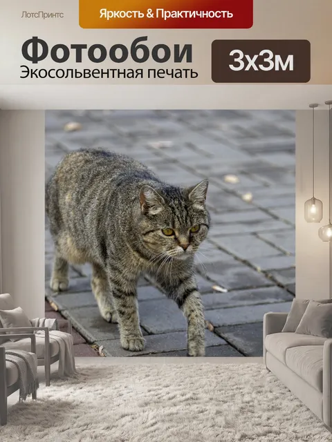 Фотообои Кошка