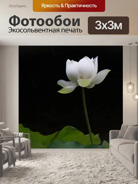 Фотообои Живописи тушью