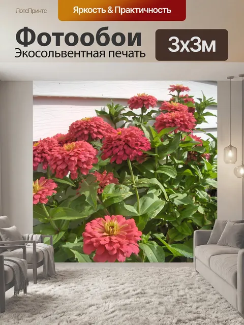 Фотообои Красные георгины (1)