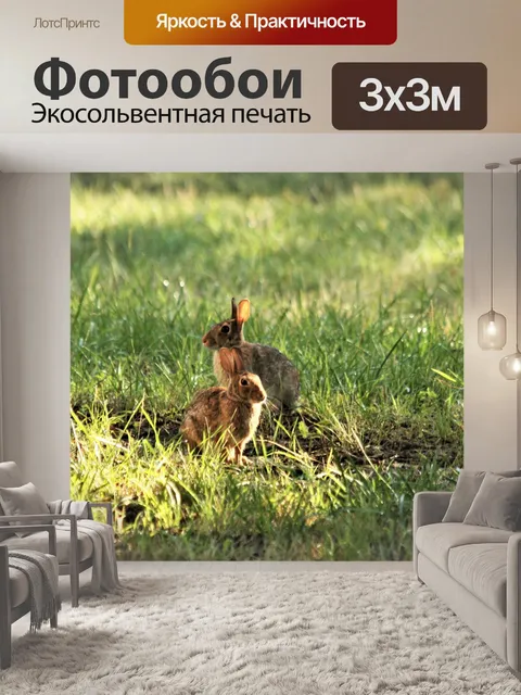 Фотообои Два Хлопка Кролика в Траве