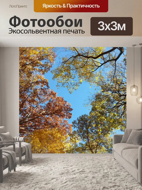 Фотообои Верхушки деревьев