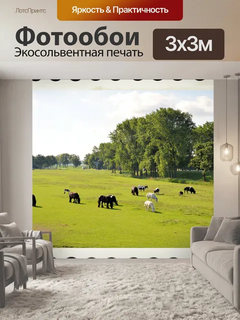 Фотообои Лошади