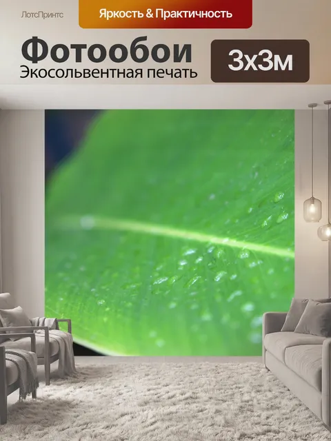 Фотообои капли воды зеленые тропические листья