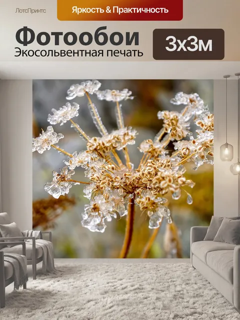 Фотообои Указал борщевик