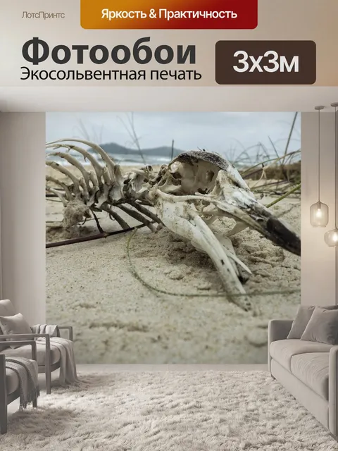 Фотообои Кампече