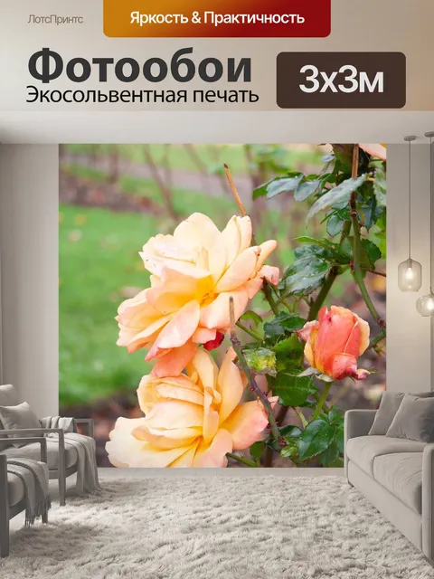 Фотообои Цветы