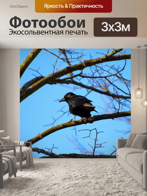 Фотообои Ворон на ветке