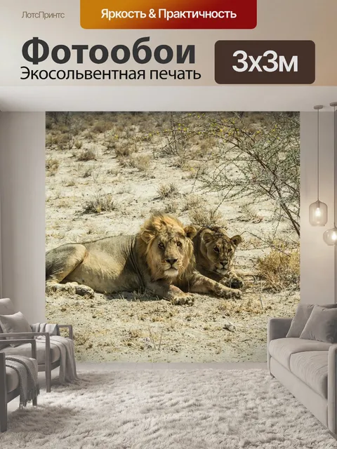 Фотообои Намибия