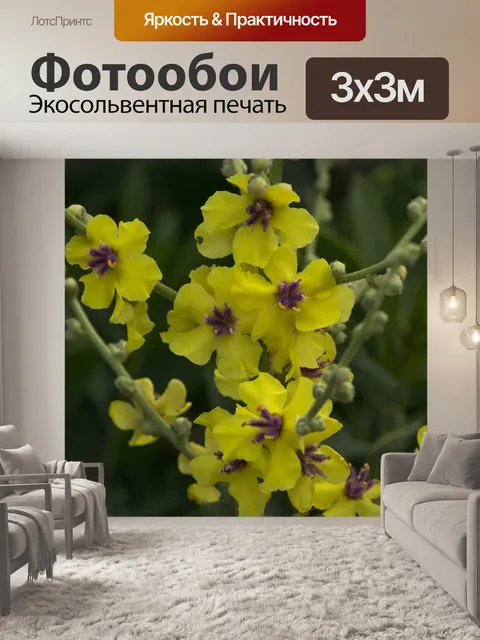 Фотообои Полевые цветы