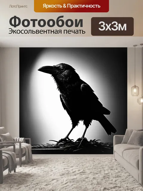 Фотообои ворон, наклонивший голову, с завуалированными черными перьями под тусклым светом