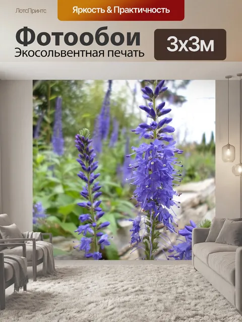 Фотообои Фиолетовый Синий цветы фиолетовые