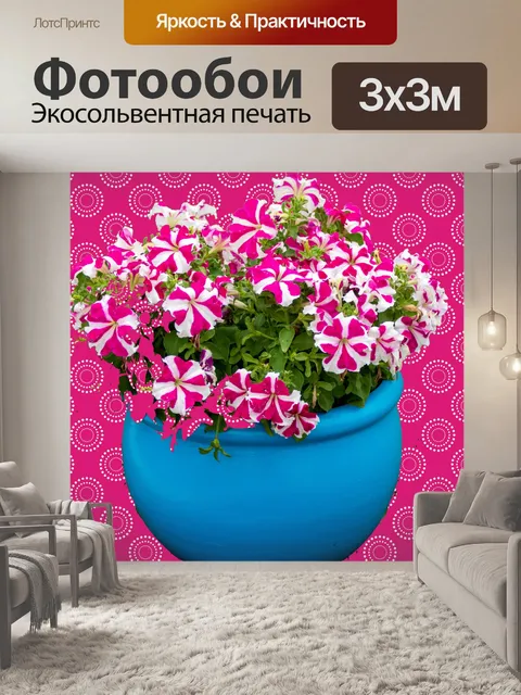 Фотообои горшок с нетерпеливыми цветами
