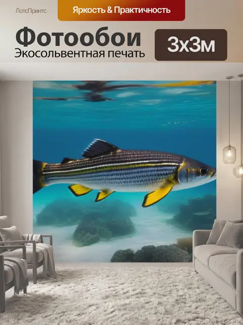 Фотообои судак, плавающий в прозрачной воде
