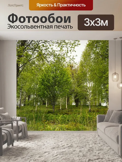Фотообои Береза