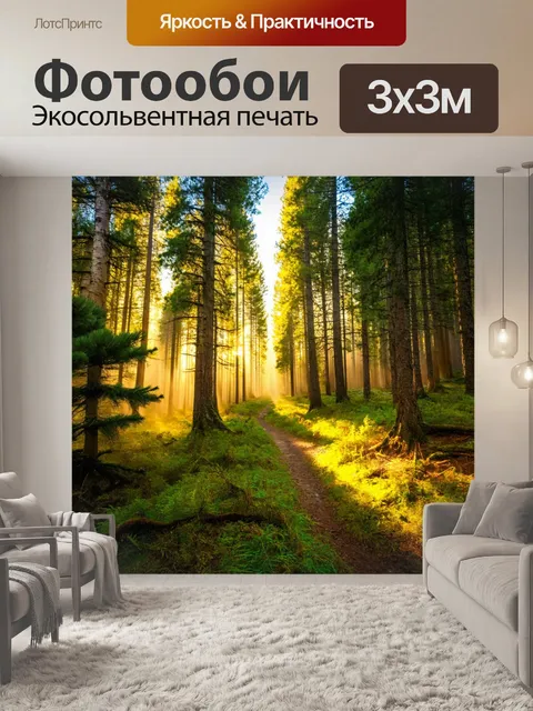 Фотообои сосновый лес, солнечные лучи, уютные тропинки, шуршащий лесной пол, свежий воздух, зелёные раскидистые деревья