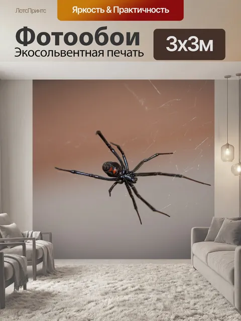 Фотообои Черный паук