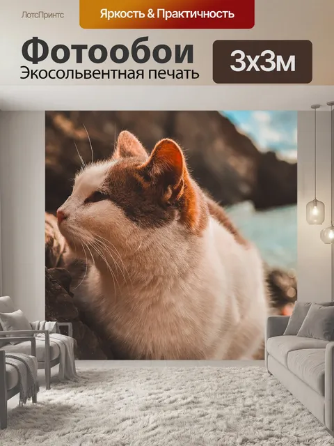 Фотообои Кот