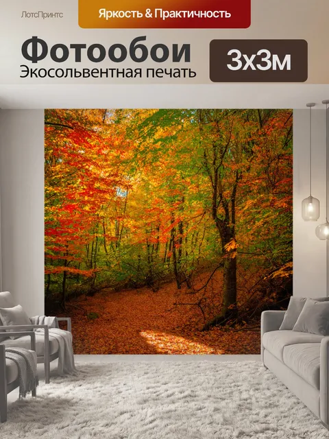Фотообои осенний лес с разноцветными листьями