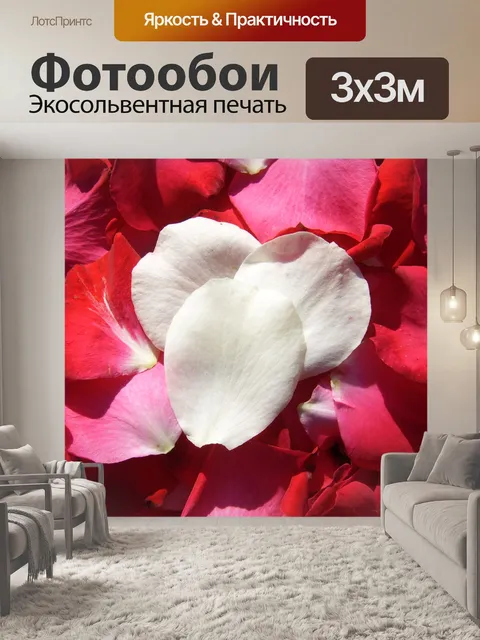 Фотообои белые и красные лепестки роз