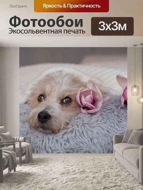 Фотообои Собака