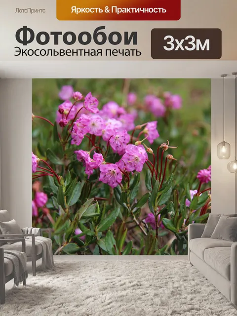 Фотообои Розовые горные цветы