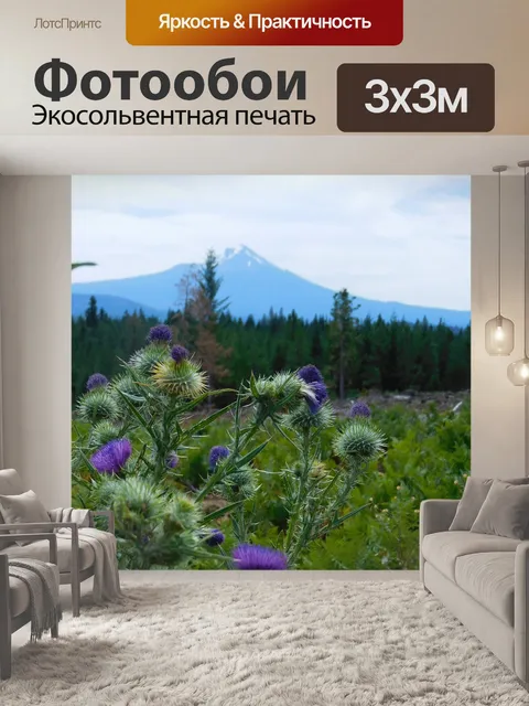 Фотообои Mt