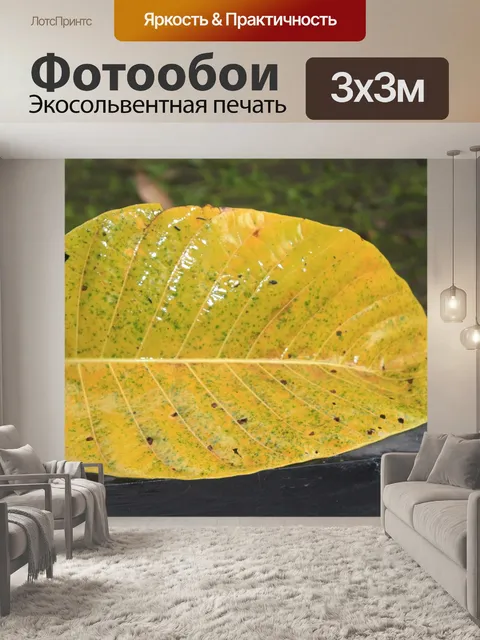 Фотообои Лист