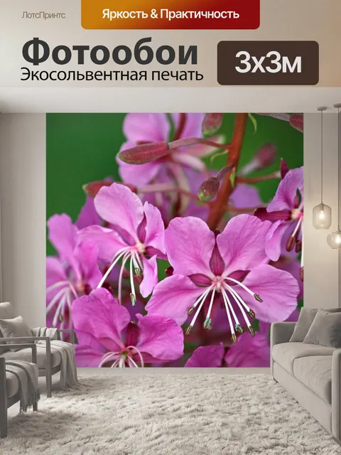 Фотообои Голубые цветы