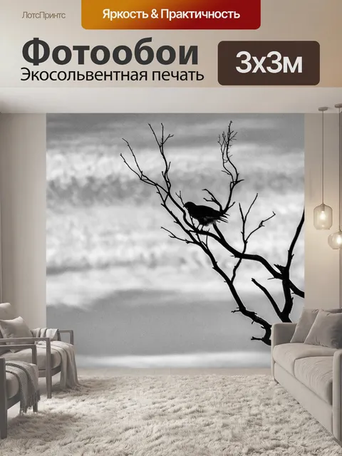 Фотообои Силуэт