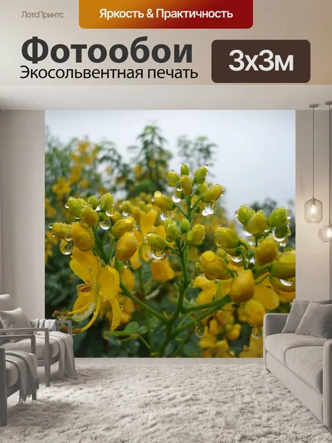 Фотообои Желтые цветы