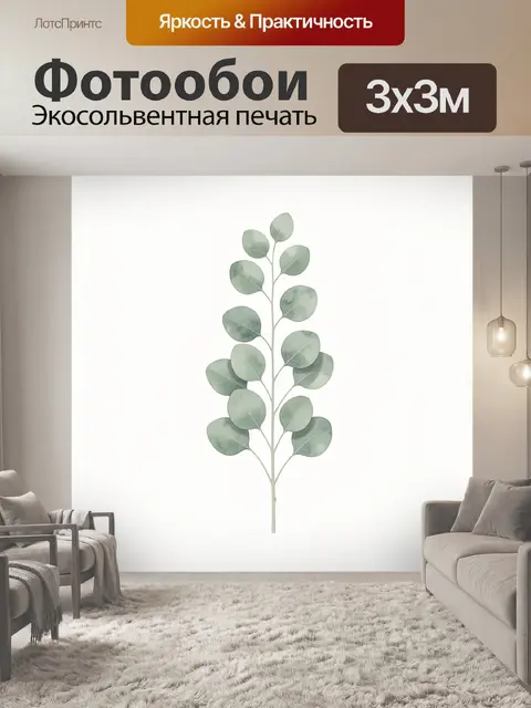 Фотообои Ветвь эвкалипта на белом фоне