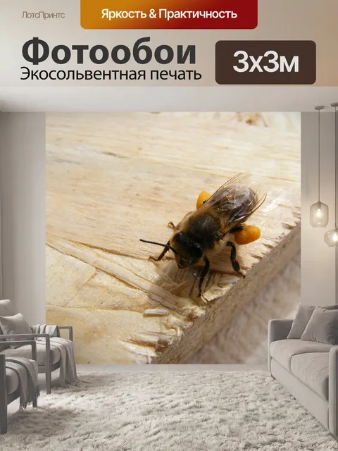 Фотообои Пчела