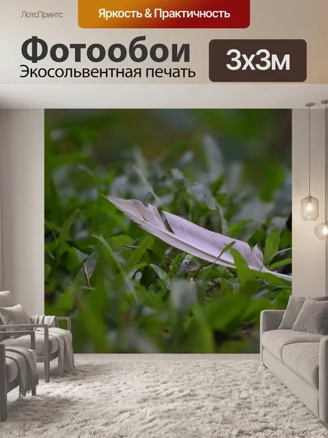Фотообои Перо