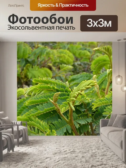 Фотообои Пышные зеленые папоротники