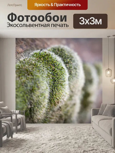 Фотообои Мох