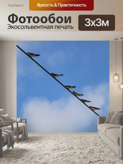 Фотообои Птицы