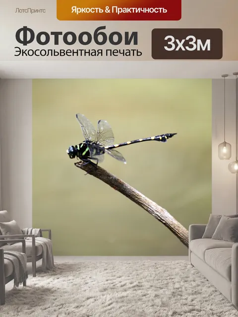 Фотообои черные и зеленые стрекозы