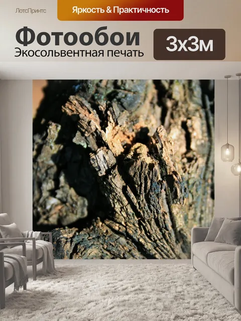 Фотообои грубая кора старого персикового дерева