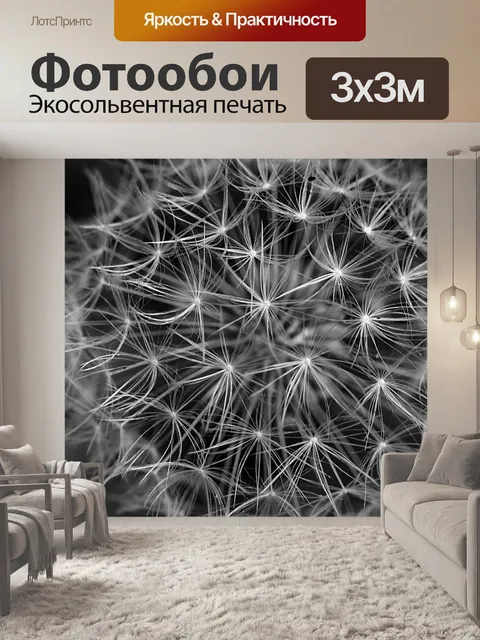 Фотообои Одуванчик