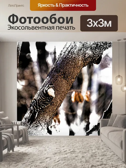 Фотообои Дятел на ветке