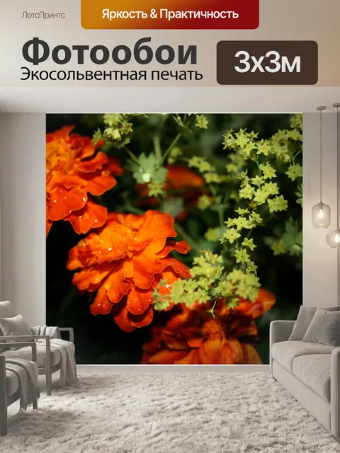 Фотообои Бархатцы