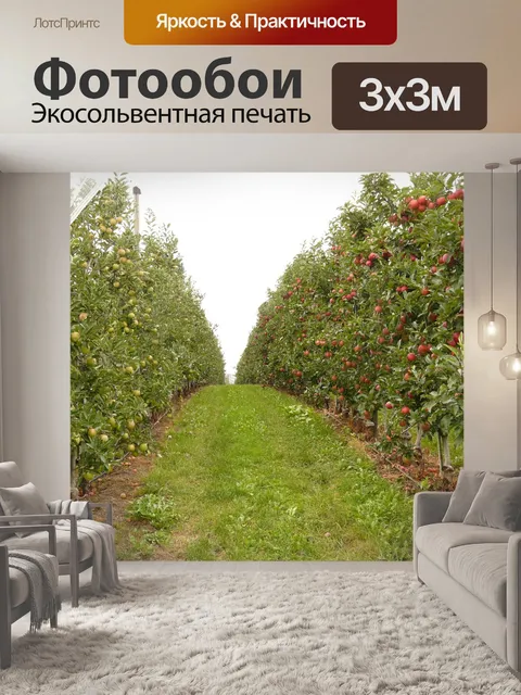Фотообои Фруктовый сад