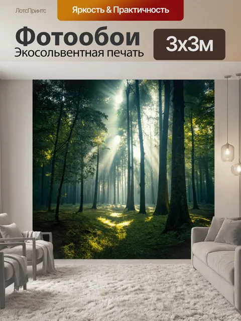 Фотообои мистический лес с пронзением света, проникающего сквозь деревья, создавая ауру таинственности и мысли