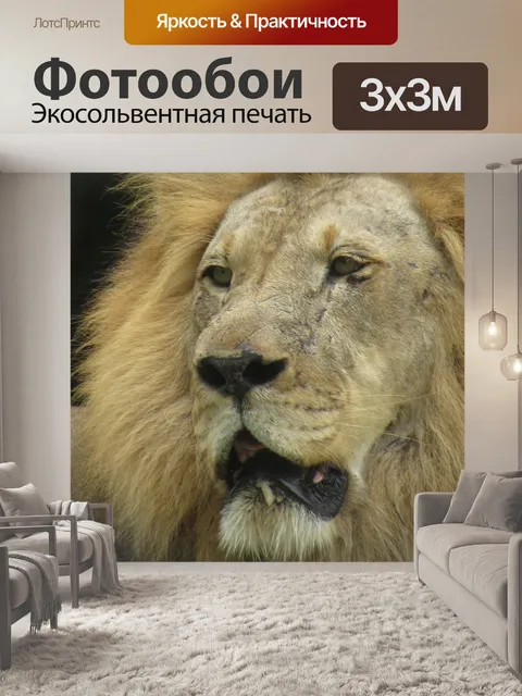 Фотообои Лев