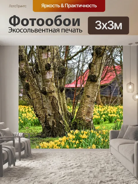 Фотообои Береза