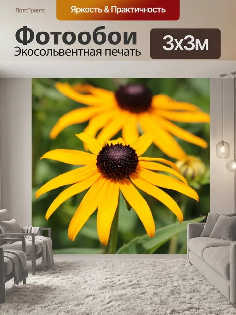 Фотообои Черные глаза Сьюзан Крупным планом