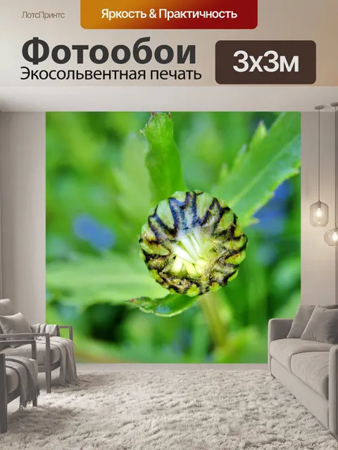 Фотообои Magerite