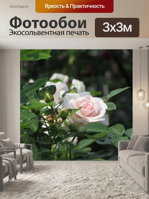 Фотообои Розовые розы